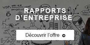 Rapport d'entreprise